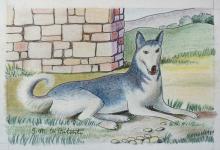 China e matite colorate 'Il grande Husky' 